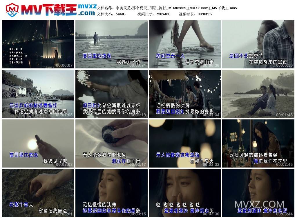 李美灵芝-那个夏天_国语_流行_MD302859